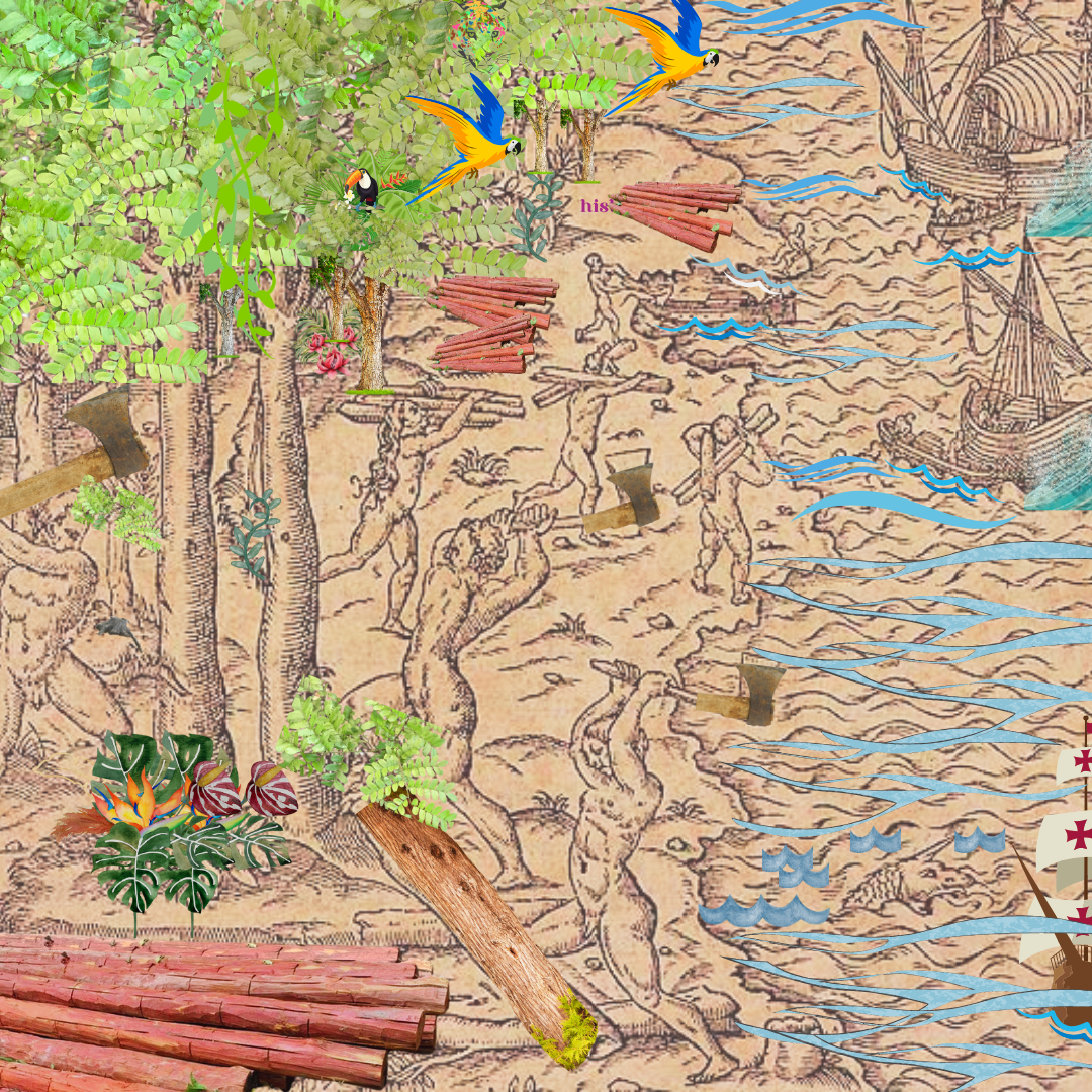 Nessa mata tem pau-de-tinta